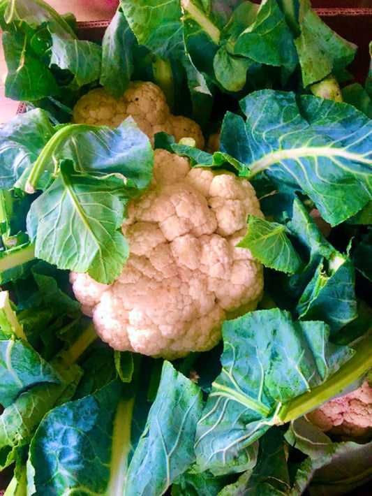 UNCLE NICK loves Cauliflower!

TRY some of these other recipes using our favorite ingredient!
